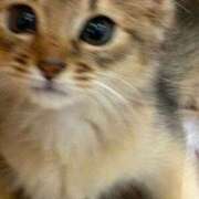 ヒメ日記 2025/10/03 15:55 投稿 まな先生 DANDY BODY