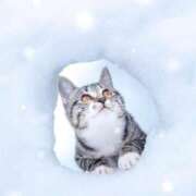 ヒメ日記 2025/12/05 10:18 投稿 まな先生 DANDY BODY