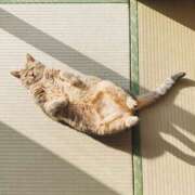 ヒメ日記 2025/12/28 18:18 投稿 まな先生 DANDY BODY