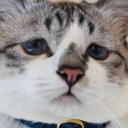 ヒメ日記 2026/02/01 16:55 投稿 まな先生 DANDY BODY