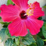 ヒメ日記 2025/08/26 13:23 投稿 好珠/このみ 五反田アネージュ（ユメオト）