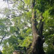 ヒメ日記 2025/09/08 12:40 投稿 好珠/このみ 五反田アネージュ（ユメオト）