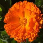 ヒメ日記 2025/10/09 12:10 投稿 好珠/このみ 五反田アネージュ（ユメオト）