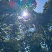 ヒメ日記 2025/11/05 13:57 投稿 好珠/このみ 五反田アネージュ（ユメオト）