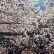 好珠/このみ お願い 五反田アネージュ（ユメオト）