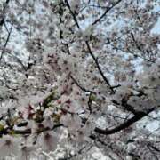 ヒメ日記 2026/04/22 10:37 投稿 好珠/このみ 五反田アネージュ（ユメオト）