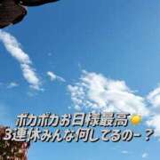 ヒメ日記 2025/11/01 14:59 投稿 桃奈-ももな【FG系列】 ほんつま 町田/相模原店