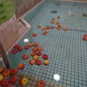 ヒメ日記 2026/02/08 12:40 投稿 ゆう 丸妻 池袋店