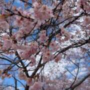 ヒメ日記 2026/03/30 13:52 投稿 ゆう 丸妻 池袋店