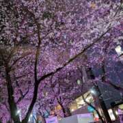 ヒメ日記 2026/04/05 14:53 投稿 ゆう 丸妻 池袋店