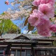 ヒメ日記 2026/04/14 16:54 投稿 ゆう 丸妻 池袋店