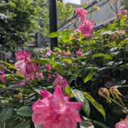 ヒメ日記 2026/04/30 17:31 投稿 ゆう 丸妻 池袋店