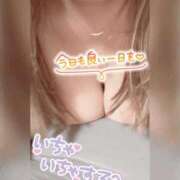 ヒメ日記 2025/10/29 09:56 投稿 えむ 熟女家 京橋店