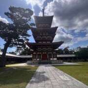 ヒメ日記 2025/11/03 16:10 投稿 えむ 熟女家 京橋店