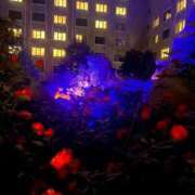 ヒメ日記 2025/12/13 10:26 投稿 えむ 熟女家 京橋店