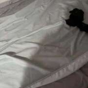 ヒメ日記 2025/09/08 20:41 投稿 AKANE【アカネ】 ピンクコレクション大阪