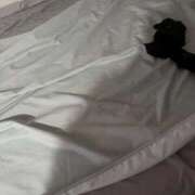 ヒメ日記 2025/09/08 20:40 投稿 AKANE【アカネ】 ピンクコレクション大阪キタ店