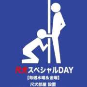 ヒメ日記 2025/10/24 08:06 投稿 りりあ 熟女家 京橋店