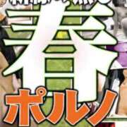 ヒメ日記 2026/03/20 17:16 投稿 りりあ 熟女家 京橋店