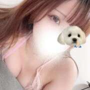 ヒメ日記 2026/04/19 10:25 投稿 るか 東京メンズエステ-TokyoMensEsthe-