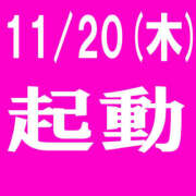 ヒメ日記 2025/11/19 15:53 投稿 とわこ 美熟女倶楽部Hip's 春日部店
