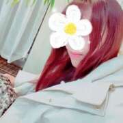 ヒメ日記 2025/12/26 14:27 投稿 とわこ 美熟女倶楽部Hip's 春日部店