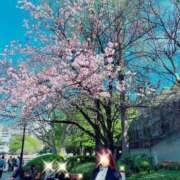 ヒメ日記 2026/04/03 23:02 投稿 とわこ 美熟女倶楽部Hip's 春日部店