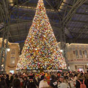 ヒメ日記 2025/12/11 18:20 投稿 中山きよせ セカンドパートナー