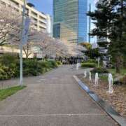 ヒメ日記 2026/02/27 09:55 投稿 中山きよせ セカンドパートナー