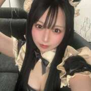 ヒメ日記 2026/01/12 19:33 投稿 まい TOKYO BUNNYS CLUB