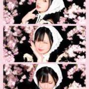 ヒメ日記 2026/03/21 18:13 投稿 まい TOKYO BUNNYS CLUB