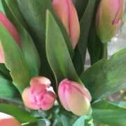 ヒメ日記 2026/01/02 21:05 投稿 さゆり 完熟ばなな新宿