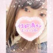 ヒメ日記 2025/08/10 12:03 投稿 【SP】うたの ミセスサマンサ