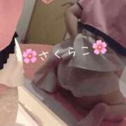 ヒメ日記 2025/09/04 07:01 投稿 さくらこ ルネッサンス