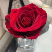 ヒメ日記 2025/12/14 17:23 投稿 ここあ お姉京都