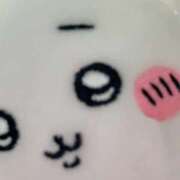 ここあ 歌ってみた🩵 お姉京都