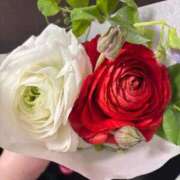 ここあ ありがとう✨✨ お姉京都