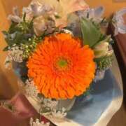 ヒメ日記 2026/03/25 12:52 投稿 ここあ お姉京都