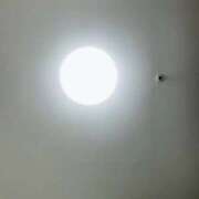 ヒメ日記 2026/03/29 12:34 投稿 ここあ お姉京都