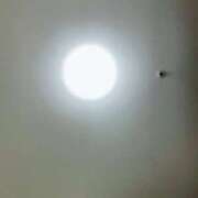 ヒメ日記 2026/03/31 12:22 投稿 ここあ お姉京都