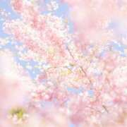 ヒメ日記 2026/03/12 12:37 投稿 あずま ハピネス東京