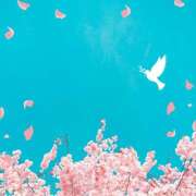 ヒメ日記 2026/04/12 12:47 投稿 あずま ハピネス東京