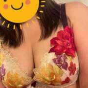 ヒメ日記 2025/11/15 15:19 投稿 ひなた SUZUME