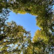 ヒメ日記 2025/12/19 14:39 投稿 ひなた SUZUME