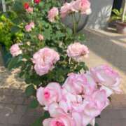 ヒメ日記 2026/01/01 19:29 投稿 ひなた SUZUME