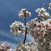 ヒメ日記 2026/02/23 10:39 投稿 ひなた SUZUME