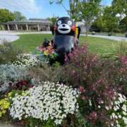 ヒメ日記 2026/03/02 16:29 投稿 ひなた SUZUME