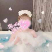 ヒメ日記 2025/08/11 21:05 投稿 ももな ぷよラブ れぼりゅ～しょん