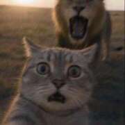 ヒメ日記 2025/12/19 21:21 投稿 (スタン)早瀬みれい 風俗イキタイいわき店