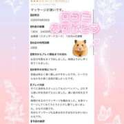 ヒメ日記 2026/08/30 14:50 投稿 (スタン)早瀬みれい 風俗イキタイいわき店